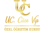 Uğurcan Cüce Vip Özel Öğretim Kursu